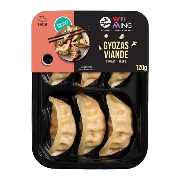 Gyoza Viande