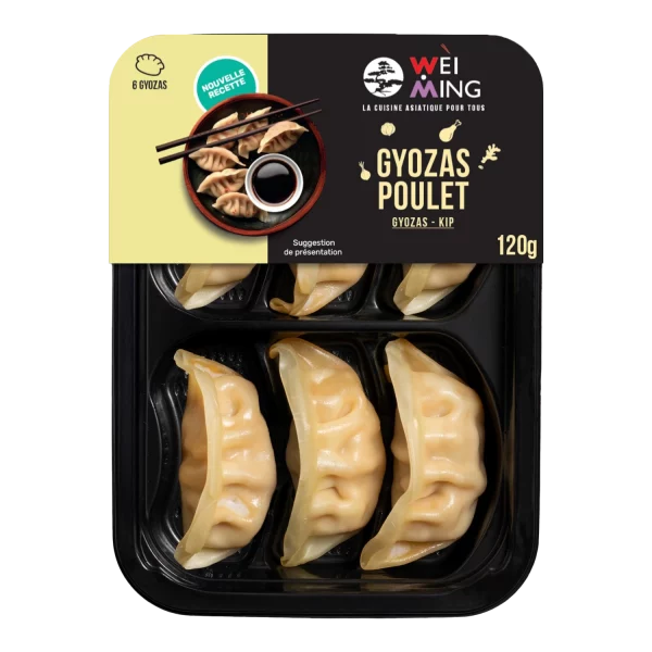 Gyoza Poulet